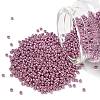 MIYUKI Round Rocailles Beads X-SEED-G007-RR4218-1