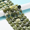 Natural Xinyi Jade/Chinese Southern Jade Beads Strands G-E614-A20-01-1