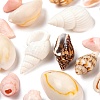 4 Style Natural Cowrie & Trumpet & Sea Shell Beads BSHE-FS0001-03-4