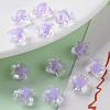 Transparent Acrylic Beads TACR-S152-01A-SS2114-6