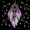 Iron Ring Woven Net/Web with Feather Wall Hanging Decoration PW-WG22057-01-3