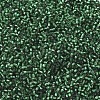 MIYUKI Delica Beads SEED-X0054-DB0605-3