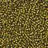 TOHO Round Seed Beads SEED-JPTR08-0246-2