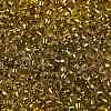 TOHO Round Seed Beads SEED-JPTR08-2155S-2