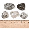 Natural Biotite Beads GG-CBAD0F6-B03-01-2