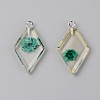 Transparent Clear Resin Pendants RESI-TAC0007-06D-1