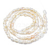 Natural Cultured Freshwater Pearl Beads Strands X-PEAR-N012-02F-2