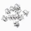 Tarnish Resistant 304 Stainless Steel Charms STAS-H413-13P-1