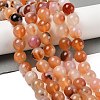 Natural Red Agate Beads Strands G-A248-A06-06-2