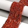 Natural South Red Agate Beads Strands G-Z074-A02-01A-1