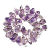 Natural Amethyst Beads Strands G-C179-D01-01-3