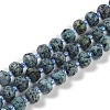 Natural Sesame Jasper Dyed Beads Strands G-H057-A21-01-1