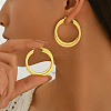 201 Stainless Steel Hoop Earrings for Women VF3090-2-2