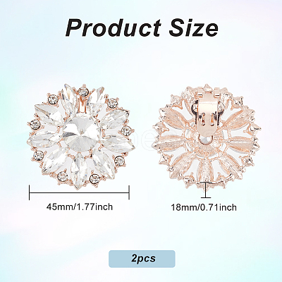 2Pcs Alloy Rhinestone Shoe Decorations AJEW-FG0003-72B-1
