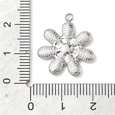 304 Stainless Steel Pendants STAS-D213-01C-P-1