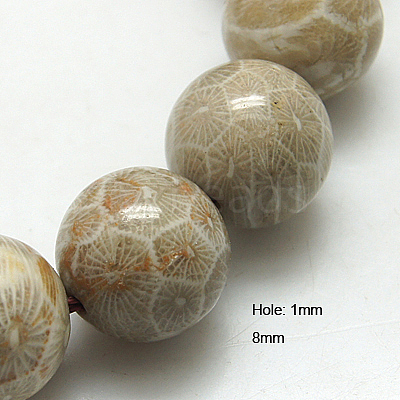 Natural Fossil Coral Beads Strands X-G-G212-8mm-31-1