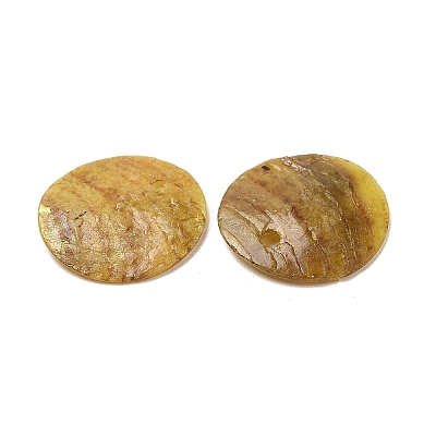 Spray Painted Natural Akoya Shell Charms SHEL-F007-15A-04-1