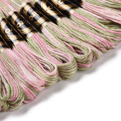 10 Skeins 6-Ply Polyester Embroidery Floss OCOR-K006-A73-1