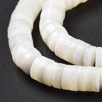 Natural Trochid Shell/Trochus Shell Beads Strands X-SSHEL-L016-13E-1