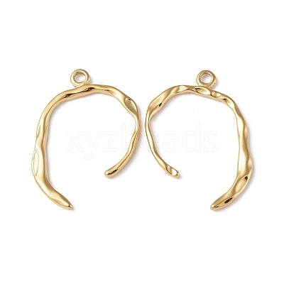 Ion Plating(IP) 304 Stainless Steel Pendants STAS-C066-22G-1