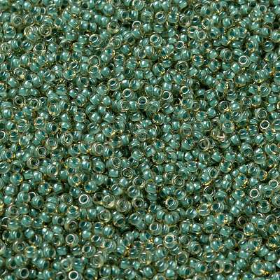 MIYUKI Round Rocailles Beads SEED-JP0010-RR0374-1