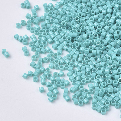 FGB 11/0 Grade A Glass Seed Beads SEED-S030-0729-1