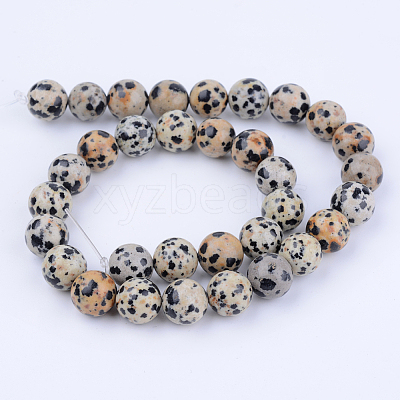 Natural Dalmatian Jasper Beads Strands G-Q462-10mm-30-1