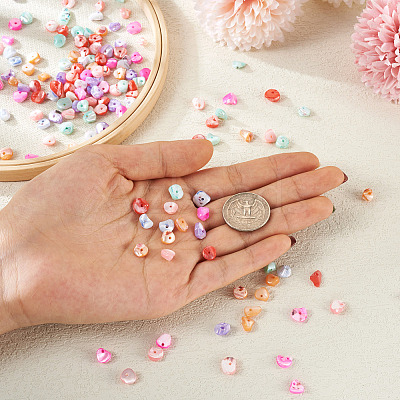 280Pcs 7 Colors Natural Freshwater Shell Beads SHEL-FW0001-02-1
