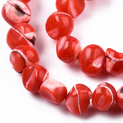 Natural Trochid Shell/Trochus Shell Beads Strands SSHEL-N032-48-A05-1