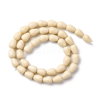 Natural Fossil Beads Strands G-F808-D01-01-1
