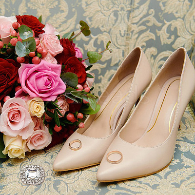 Alloy Rhinestone Shoe Decorations FIND-WH0126-417B-1