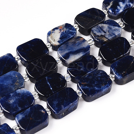 Natural Sodalite Beads Strands G-T138-09-1