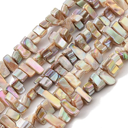 Natural Freshwater Shell Beads Strands BSHE-H018-07A-1