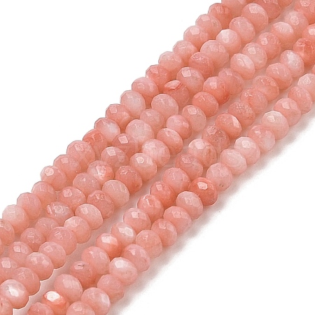 Natural Freshwater Shell Dyed Beads Strands SHEL-R100-13A-03-1