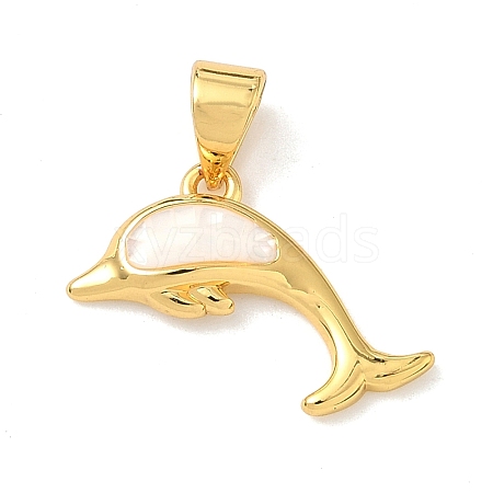 Brass Enamel Pendants KK-H534-01B-G01-1