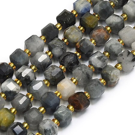 Natura Eagle Eye Stone Beads Strands G-I376-D49-01-1