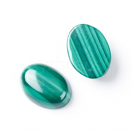 Natural Malachite Cabochons G-E557-03G-1