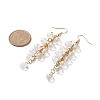 Glass Teardrop Cluster Dangle Earrings EJEW-JE05215-01-4