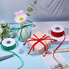 2 Rolls 2 Colors Polyester Ribbon OCOR-GL0001-33A-5