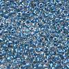 TOHO 6/0 Round Beads X-SEED-TR06-0263-3