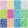 12 Colors Mixed Style Glass Seed Beads Sets SEED-YW0002-58-2