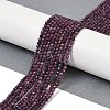 Natural Ruby Beads Strands G-I379-A01-01-3