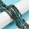 Natural Apatite Beads Strands G-C080-B06-01A-4