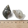 Natural Bloodstone Carved Figurines DJEW-L023-H03-3