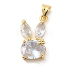 Rack Plating Brass Micro Pave Cubic Zirconia Pendants KK-P241-20G-05-1