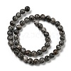 Natural Larvikite Beads Strands G-E443-A36-2