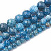 Natural Apatite Beads Strands G-S333-10mm-012-2