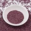 MIYUKI Delica Beads SEED-MY11-DB2308-2