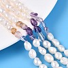 Natural Ametrine Nuggets & Natural Cultured Freshwater Pearl Beads Strands PEAR-N023-01A-14-1