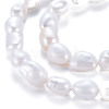 Natural Keshi Pearl Beads Strands PEAR-S020-T04-4